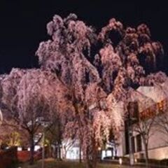 40・50代 東京散歩♪ ～1人参加～【六本木】💖 - パーティー