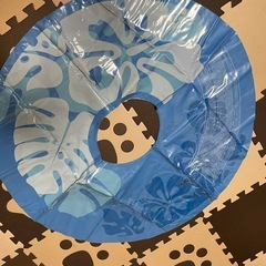 さしあげます(にこ様)3月21日16時の画像