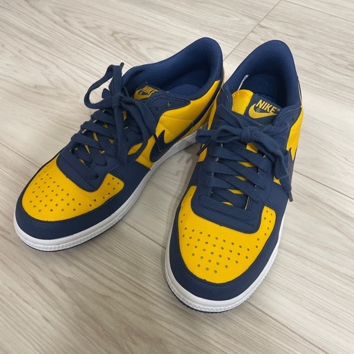NIKE 24cmスニーカーTERMINATOR LOW 美品