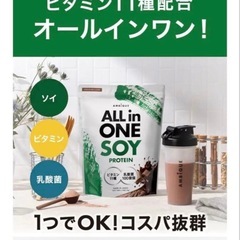 未開封 オールインワン プロテイン チョコ の画像