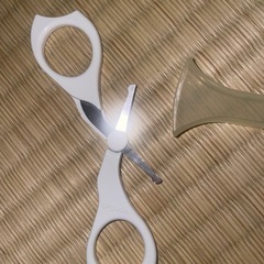 無料でピジョンジャンク品の画像