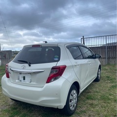 ヴィッツの画像