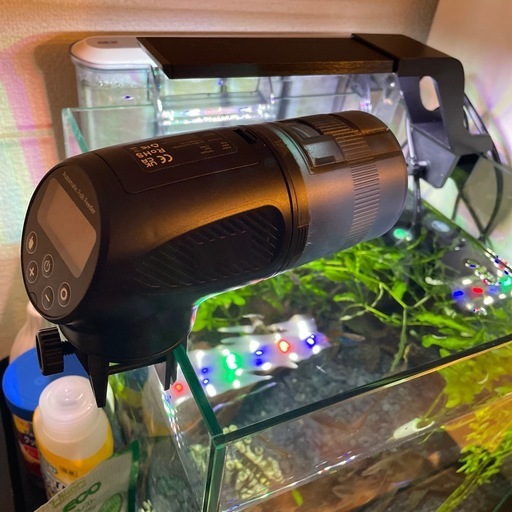 熱帯魚　グッピー・テトラ・プレコ