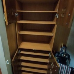 棚　3月9日　まで　の画像