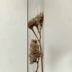 ドライフラワー 置物の画像