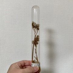 ドライフラワー 置物の画像