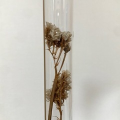 ドライフラワー 置物の画像