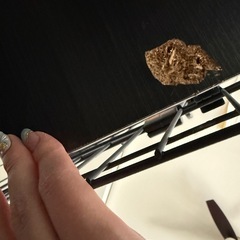 ペットゲージ3段　アイリスオーヤマの画像