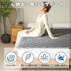 敷きパッド シングル 吸汗通気 オールシーズン の画像