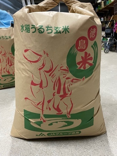小松島産 R7年 コシヒカリ 玄米 30kg