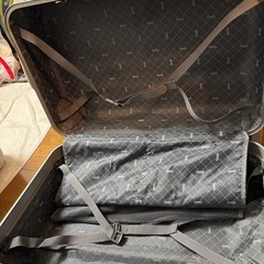 めちゃでかキャリーケースの画像