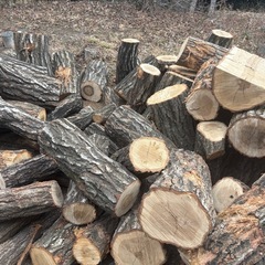 広葉樹！コナラ！60k2700円の画像