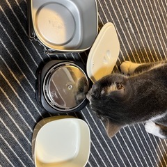 ヤザワ　　トラベルクッカーの画像