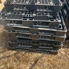 プラスチックパレット 黒 残り7枚 3/15まで期間限定の画像