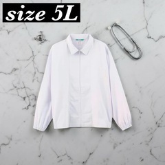 白衣 メンズ サイズ5L 診察衣 実験衣 ドクターコート 医師 ロング丈 ポケット 長袖の画像