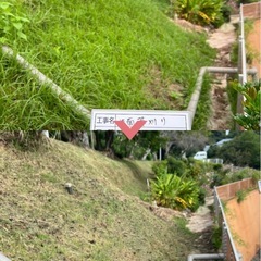 草刈り致します🤗