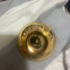 金杯　24KGPの画像