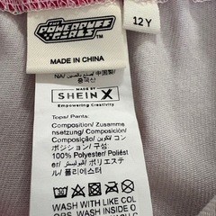 パワーパフガールズ フレアパンツ ピンクの画像