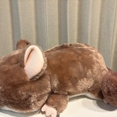 ぬいぐるみの画像
