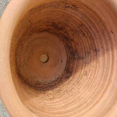 テラコッタ鉢の画像