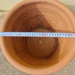 テラコッタ鉢の画像