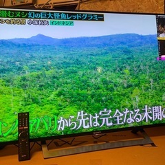ソニー 49V型 液晶 テレビ ブラビア KJ-49X8300D S 4K Android TV 外付けHDD録画外付けHDD裏番組録画 の画像