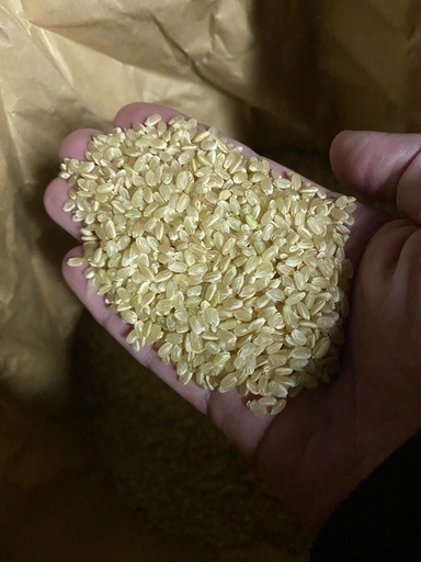 令和7年産　コシヒカリ30キロです。