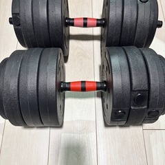 可変式ダンベルセット20㎏×2個セットの画像
