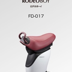 【美品】RODEO BOY ロデオボーイ FD-017の画像