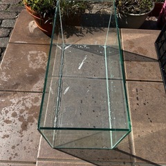 ガラス 水槽 金魚 熱帯魚の画像