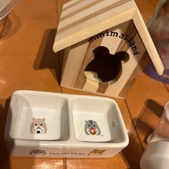 ハムスター飼育セットの画像
