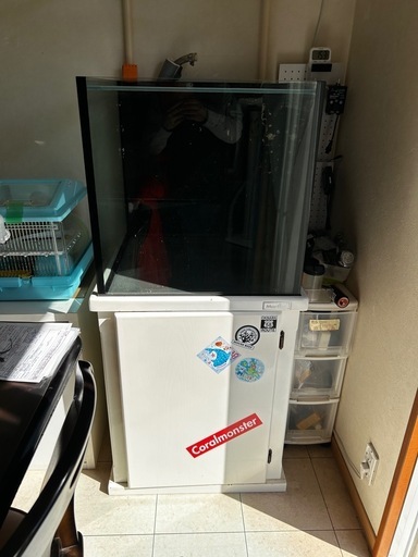 海水ＯＦ水槽
