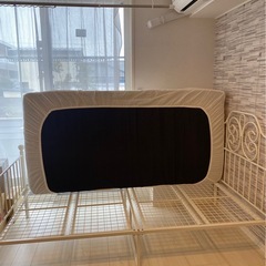 シングルベット　パイプ　可愛いの画像