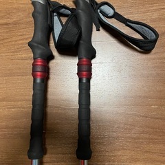 ブラックダイヤモンド　ポールの画像