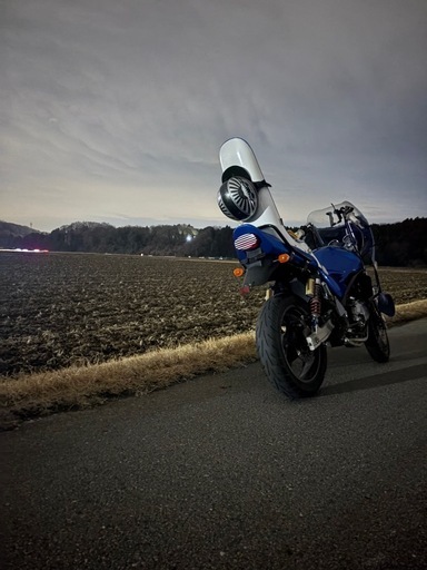 kawasakiバリオス2型