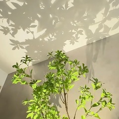 新品未使用 HerimoLEDスポットライトブラケットライトLEDスポットライトの画像