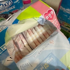 犬用オムツMの画像