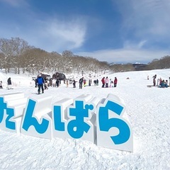 3月14日又15日にたんばらスキーパークに行きませんか？