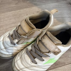 サッカー　トレシュー  20cmの画像