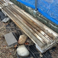 果樹棚用　平杭の画像