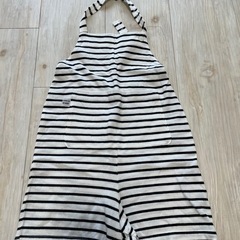 コムササロペットの画像