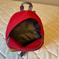 THENORTHFACE リュックの画像