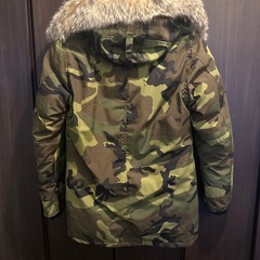 カナダグースの画像