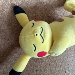 決まりました！おねむりピカチュウの画像