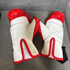 ファミリーボクシング グローブ＆ミットセットの画像