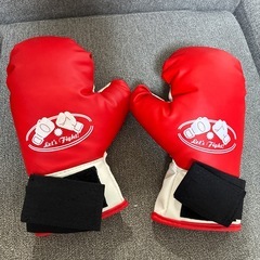 ファミリーボクシング グローブ＆ミットセットの画像