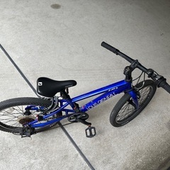 ルイスガリアーノのキッズ自転車の画像