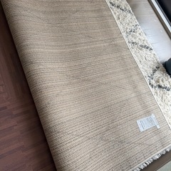 【〜3/14までに来れる方】ラグ　絨毯　カーペット　ニトリの画像