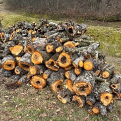 2026年 NO4  🈹あり薪用梨リンゴ桃の玉切り軽トラ一台分福島県本宮市 引取り限定 の画像