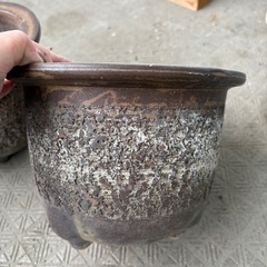 4点セット　陶器鉢　植木鉢　ガーデニング　寄せ植えの画像